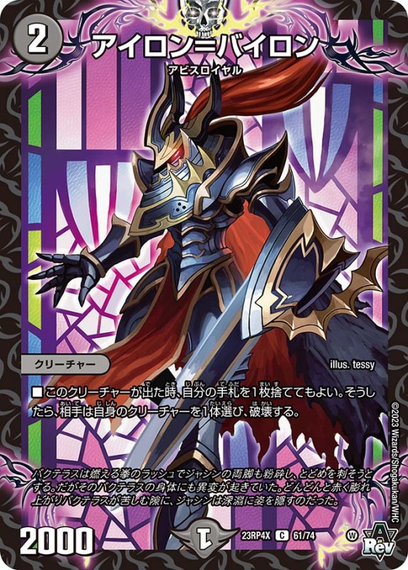 アイロン＝バイロンDM23RP4XC 61/74