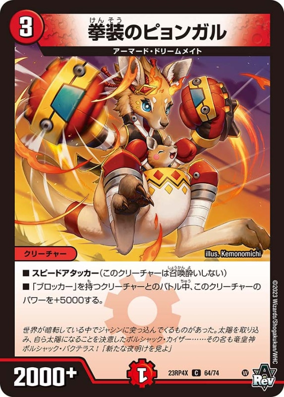 拳装のピョンガルDM23RP4XC 64/74