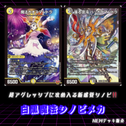 デュエマ　白黒シノビ　デッキ　即購入可 デュエルマスターズ格安デッキ 白黒メカシノビデッキ - メルカリ