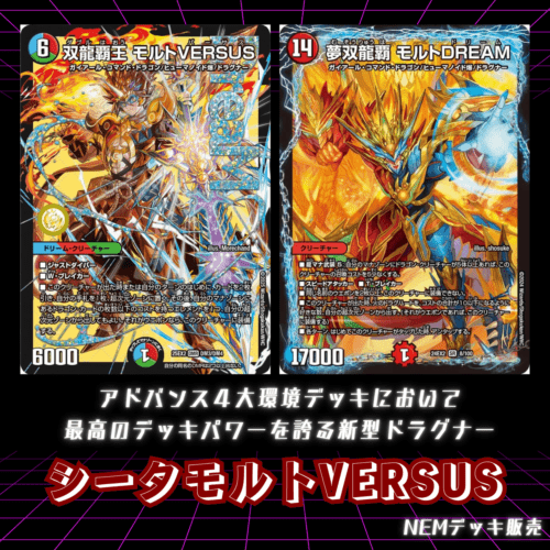 【デッキ】シータモルトVERSUS