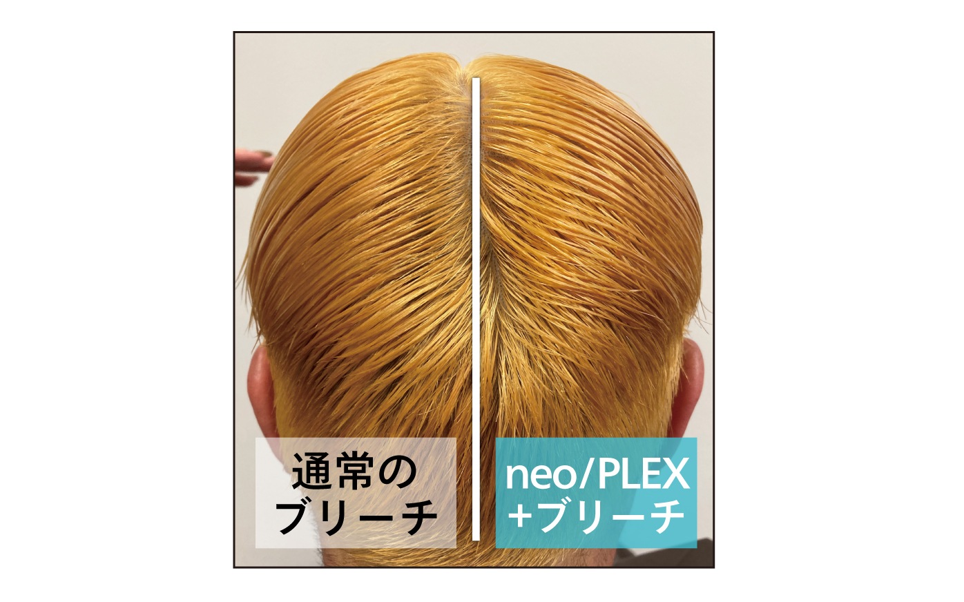 neo/PLEX 50ml