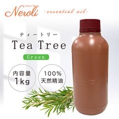 �ƥ����ȥ꡼  �� ����� �� ���������� �� ��