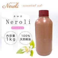�ͥ���  �� ����� �� ���������� �� ��