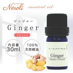 ���󥸥㡼  �� �������� ��