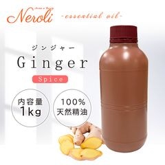 ���󥸥㡼  �� �����ʣ���������� ��