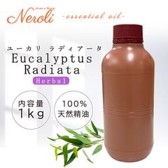 �桼���� ��ǥ��������� �����ʣ���������� ��