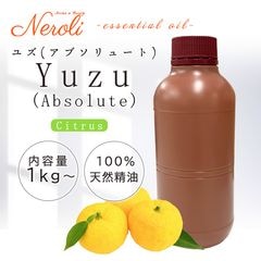 ͮ�� ABSOLUTE �� �楺 ���֥���塼�� �� �� ����� �� ���������� )��