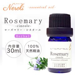 �������ޥ꡼�����ͥ�����  �� �������� ��