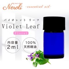 �Х�����åȥ꡼��  �� ������ ��