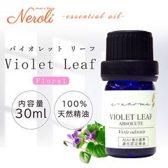 �Х�����åȥ꡼��  �� �������� ��