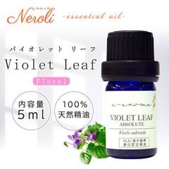 �Х�����åȥ꡼��  �� ������ ��