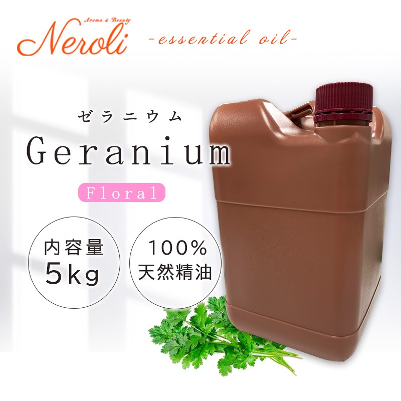 ����˥���  �� �����ʣ���������� ��