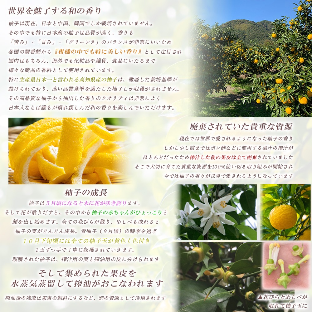 �楺���������� ��ͤ��ؤ��ѡ��180ml�ˡ� ������.�� ���ѿ� �ˡۡ� ˧���α��