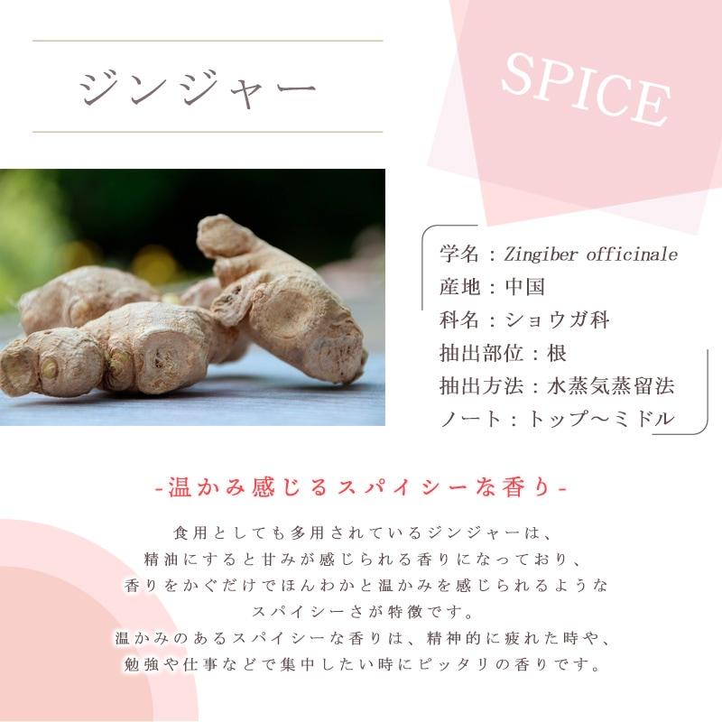 ���󥸥㡼  �� �����ʣ���������� ��