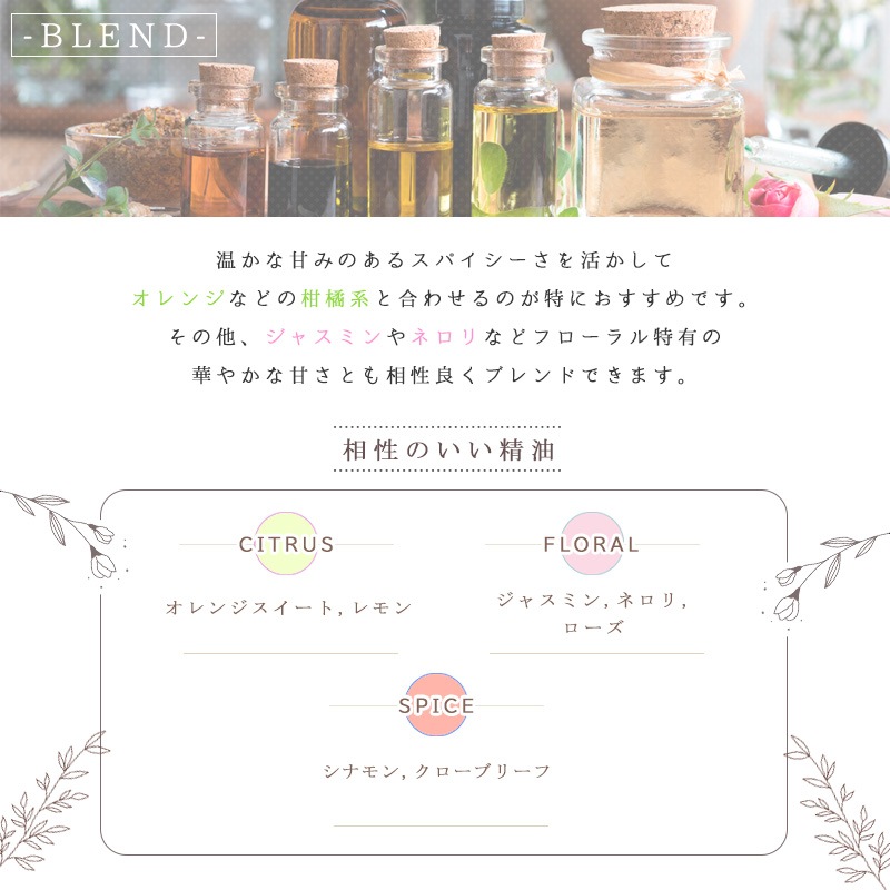 ���󥸥㡼  �� �����ʣ���������� ��