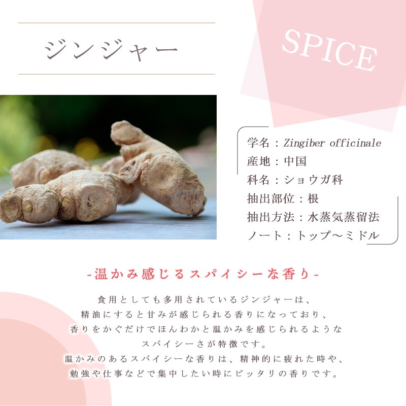 ���󥸥㡼  �� �����ʣ���������� ��