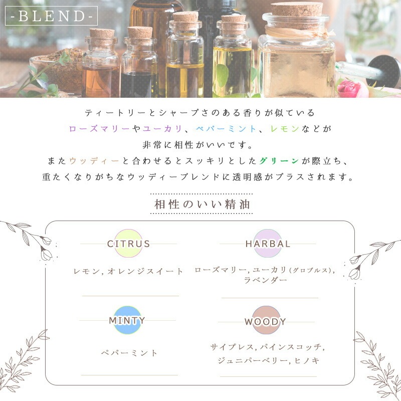 �ƥ����ȥ꡼  �� �������� �� 