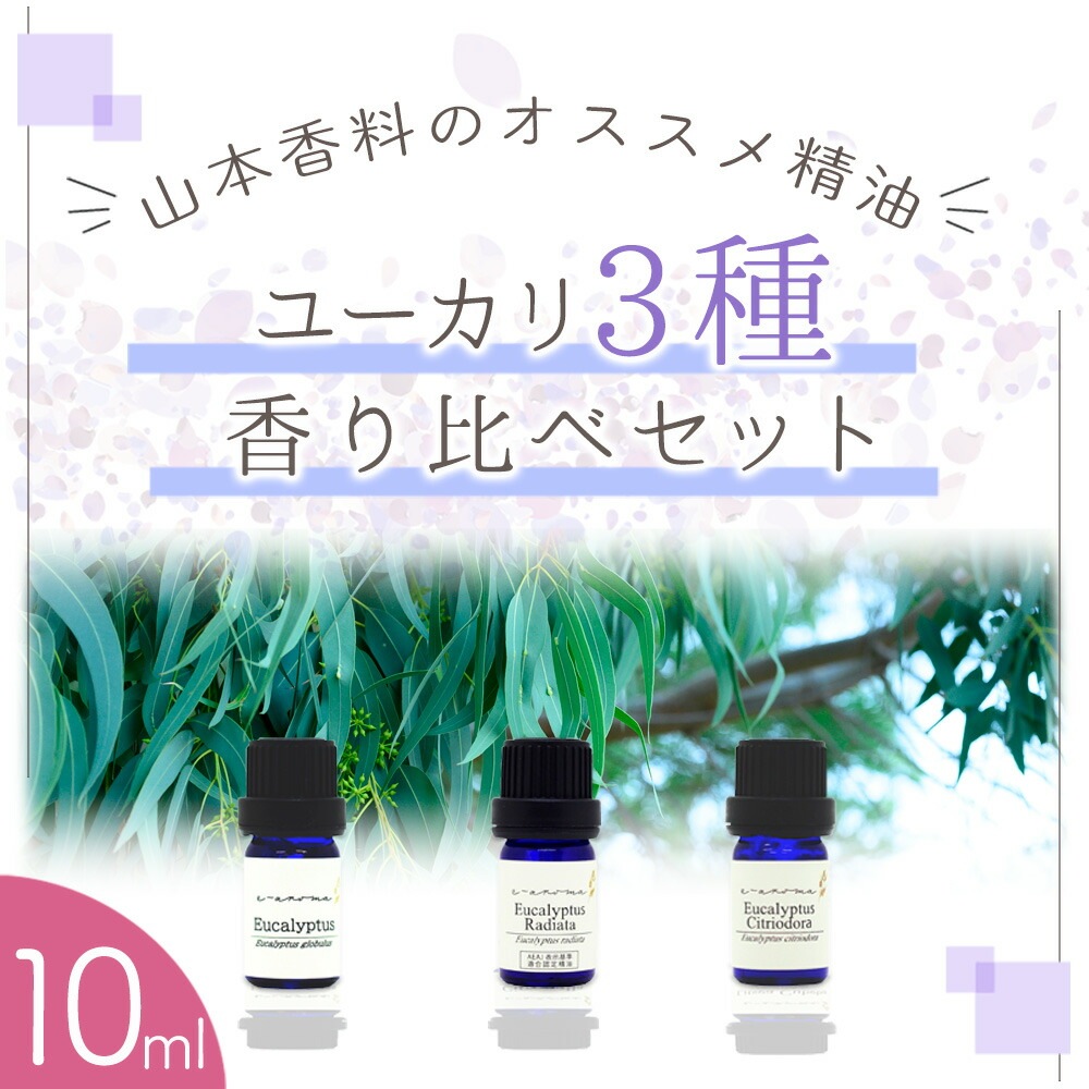 ������Ҹ����� �桼�������� ������ ���å� <BR> �桼���ꥰ���֥륹 �桼�����ǥ������� �桼���ꥷ�ȥꥪ�ɥ�<BR>�� �������� �� ���� ���åȡ�<BR> ���å��󥷥�륪���� / ���� / �����ޥ�����