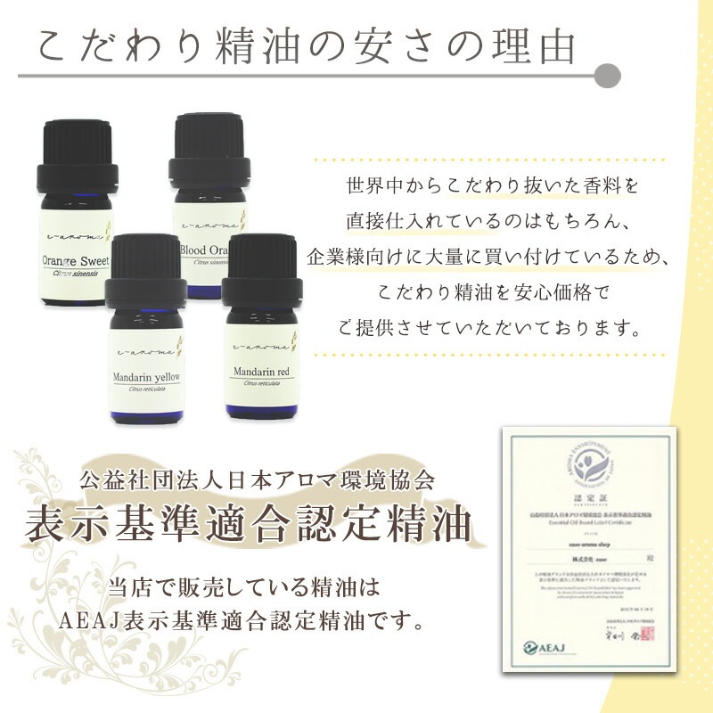 ������Ҹ����� �������� �� ����Ĵ�ϡ��Х��������� ������ ���å� <BR> ���󥰥饹 ��ĥ����٥� �ʥᥤ������ ���ȥ��ͥ� ����<BR>�� ������ �� ���� ���åȡ�<BR> ���å��󥷥�륪���� / ���� / �����ޥ�����