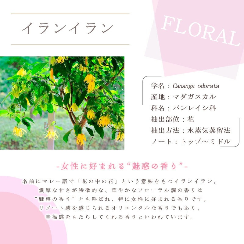 ����󥤥��  �� �������� �� 