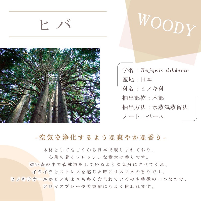 �ҥ�  �� �����ʣ���������� ��