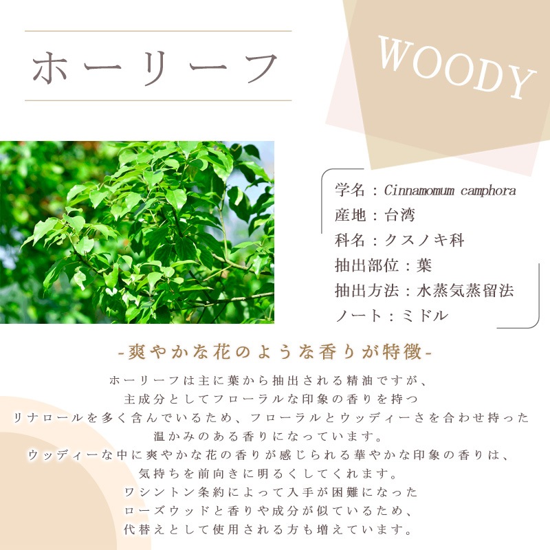 �ۡ��꡼��  �� �����ʣ���������� ��