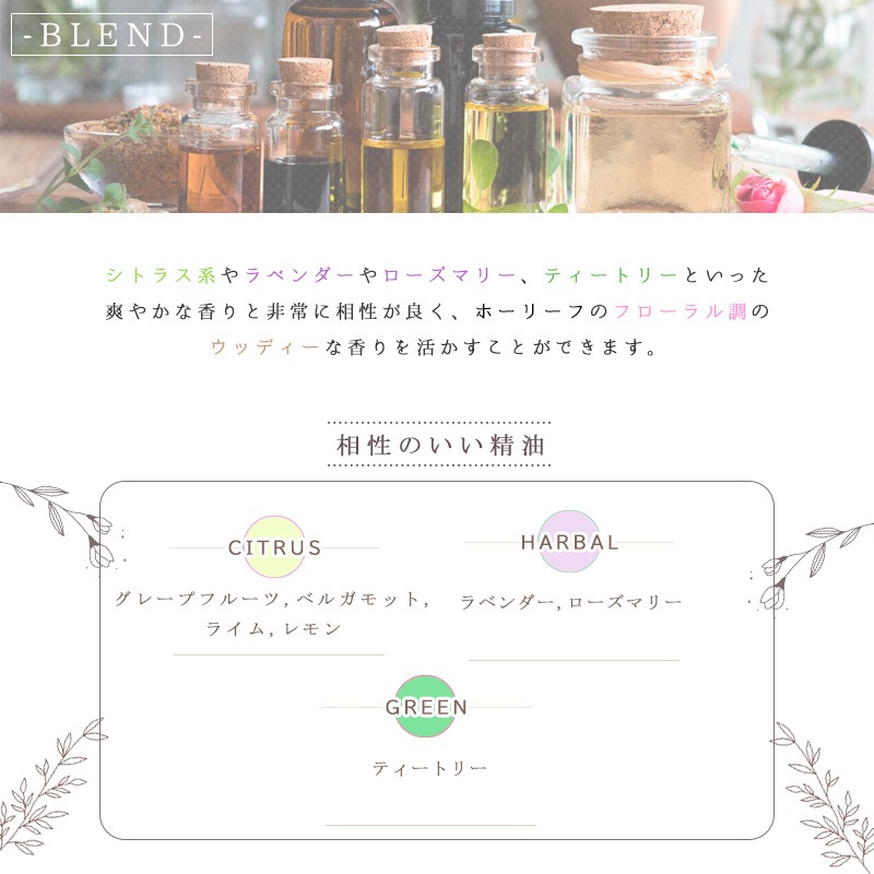 �ۡ��꡼��  �� �����ʣ���������� ��