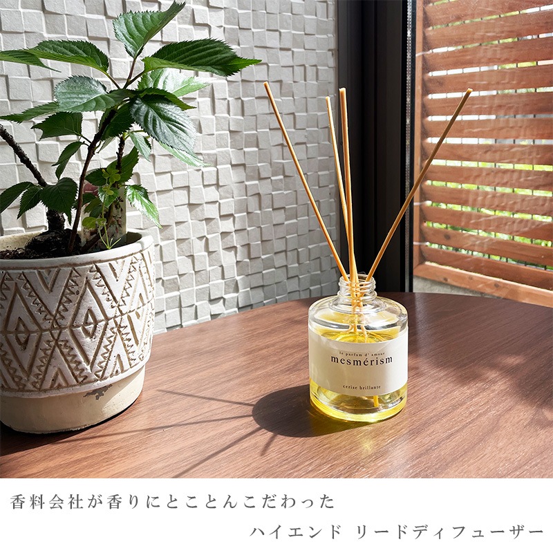 mesmerism - �᥹��ꥺ�� -��������Ĵ��<BR>�� �꡼�ɥǥ��ե塼���� �������ѡ�����������ʣ���������ˡ�