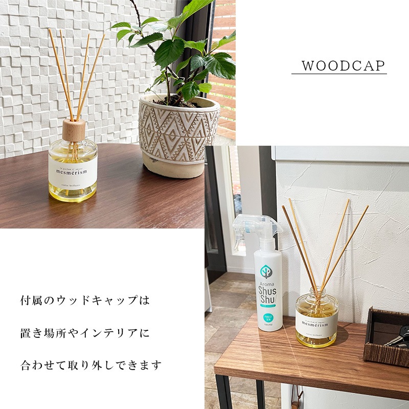 mesmerism - �᥹��ꥺ�� -��������Ĵ��<BR>�� �꡼�ɥǥ��ե塼���� �������ѡ�����������ʣ���������ˡ�