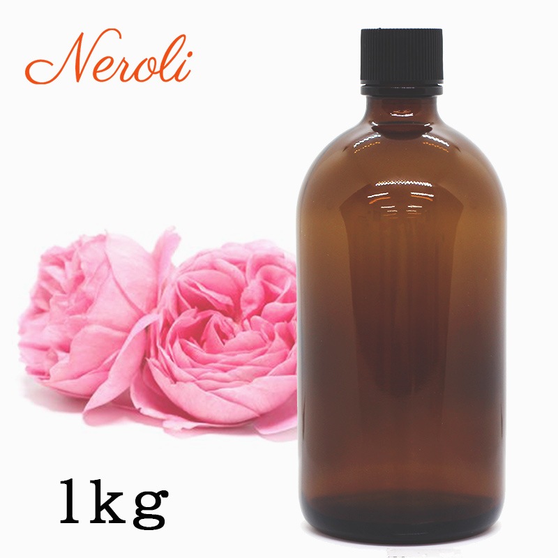 ������ ���֥���塼��  �� ����� �� ���������� �� ��