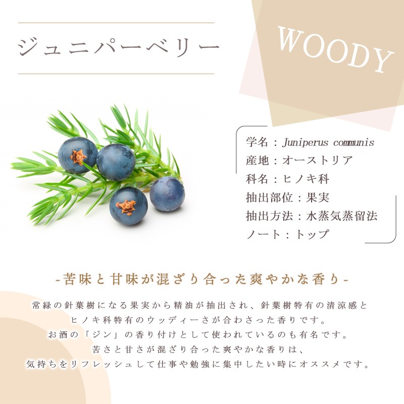 ����˥ѡ��٥꡼  �� �����ʣ���������� ��