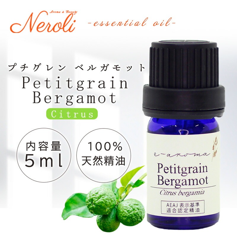 �ץ������ �٥륬��å�  �� ������ ��