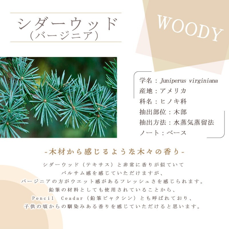 ���������å� �� �С����˥���  �� ������ �� 