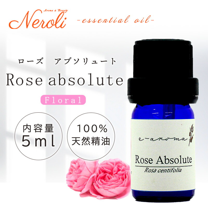 ������ ���֥���塼��  �� ������ ��