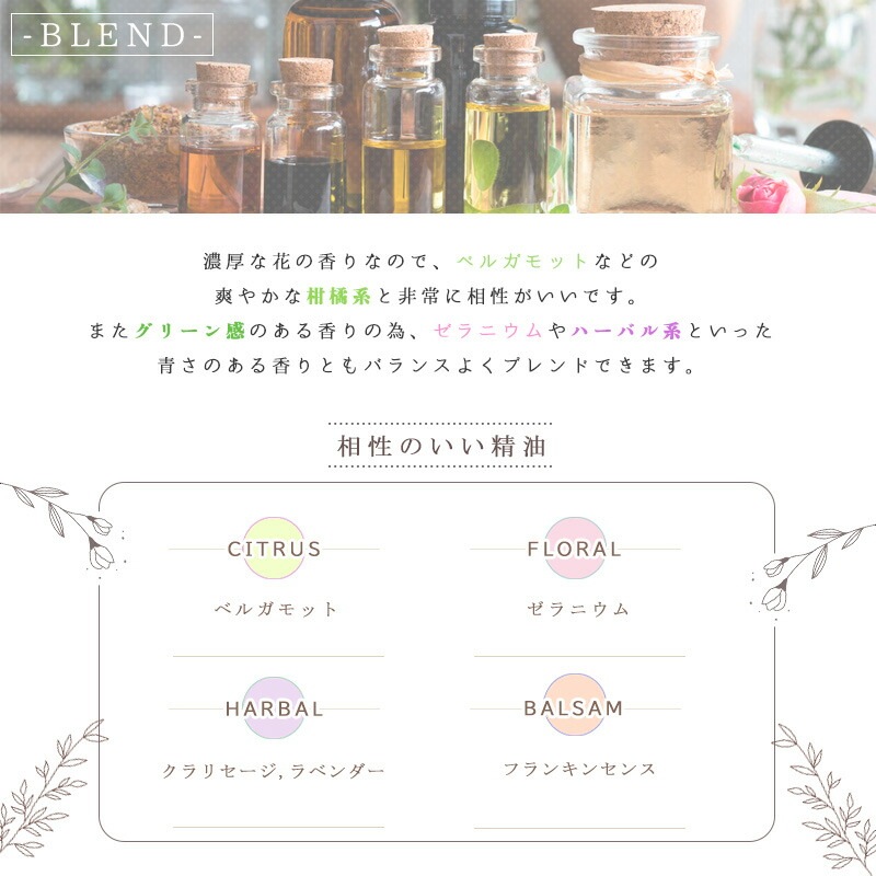 ������ ���֥���塼��  �� ������ ��