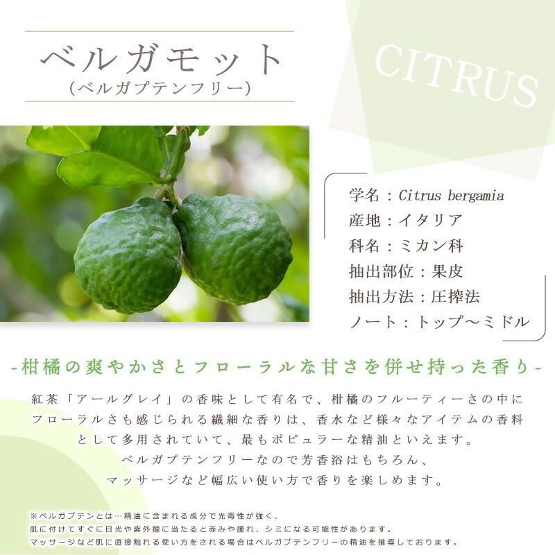 �٥륬��å� �٥륬�ץƥ� �ե꡼  �� ����� �� ���������� �ˡ�