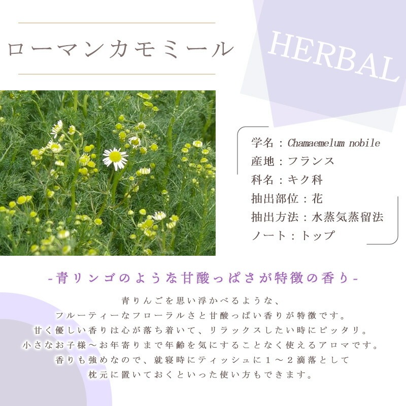 �����ޥ� ����ߡ���  �� ������ �� 