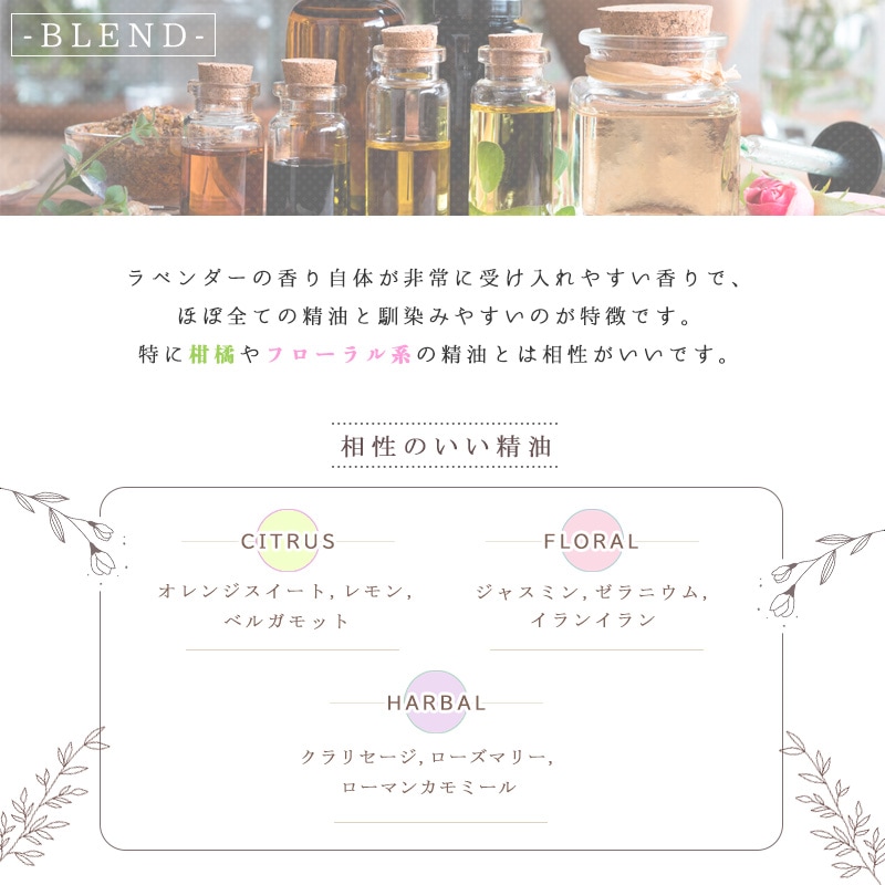 ���� ��٥����(�ե���)  �� �����ʣ���������� ��