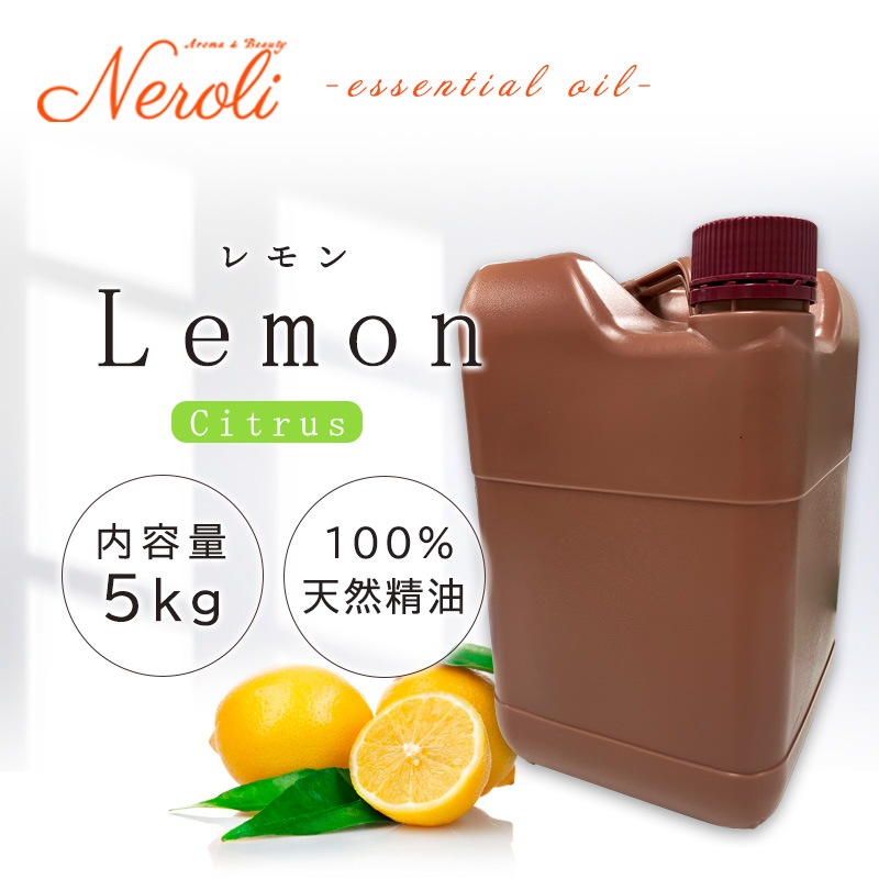 ���� �ץ��ե�������  �� �����ʣ���������� ��