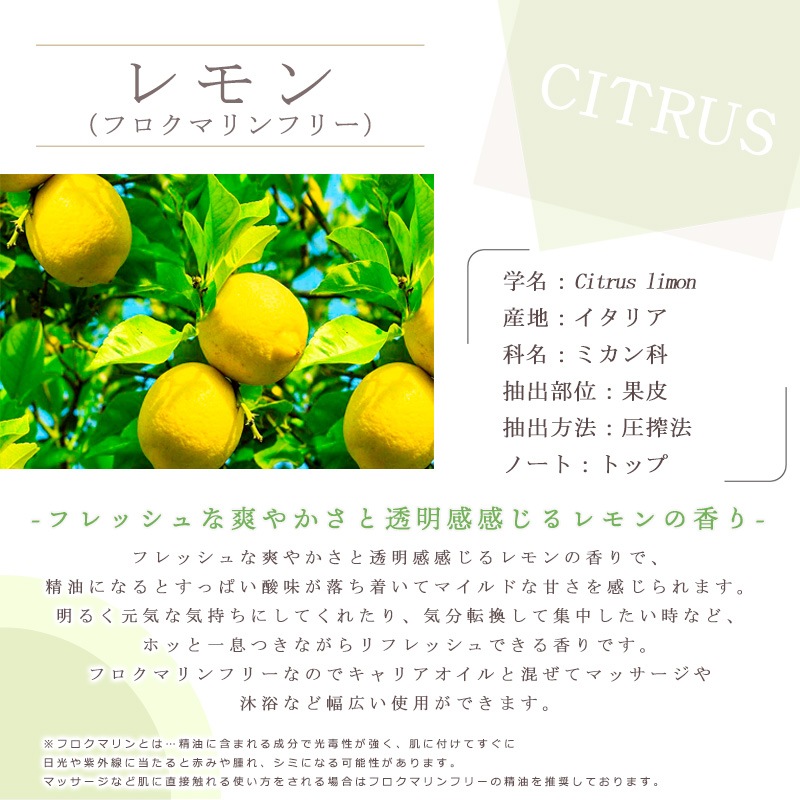 ���� �ե����ޥ�� �ե꡼  �� �����ʣ���������� ��