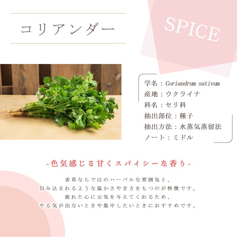 ���ꥢ�����  �� ������ ��