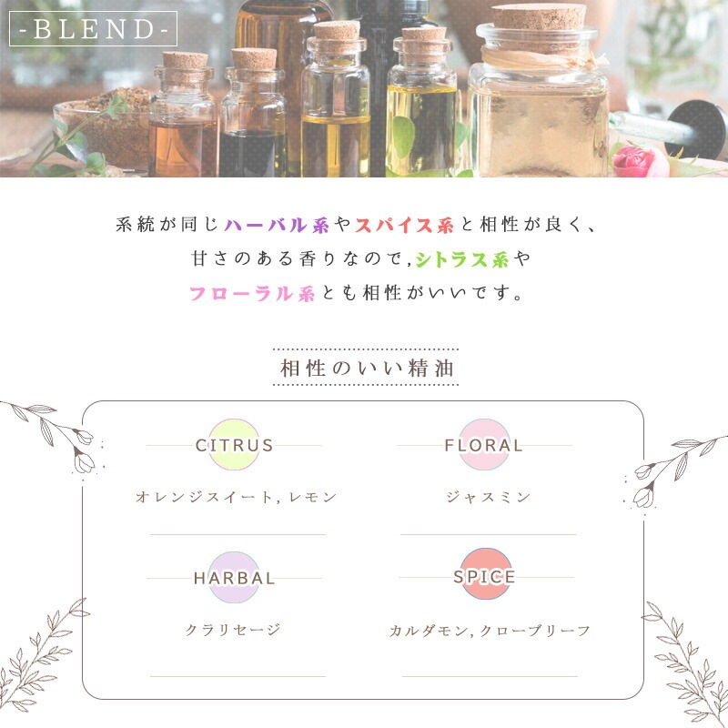 ���ꥢ�����  �� ������ ��