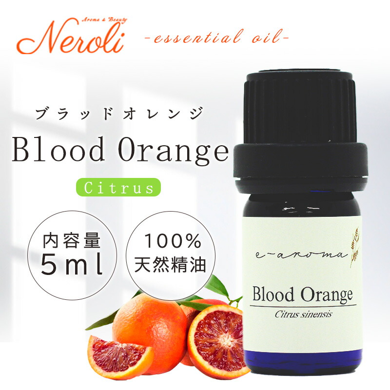 �֥�åɥ����  �� ������ ��