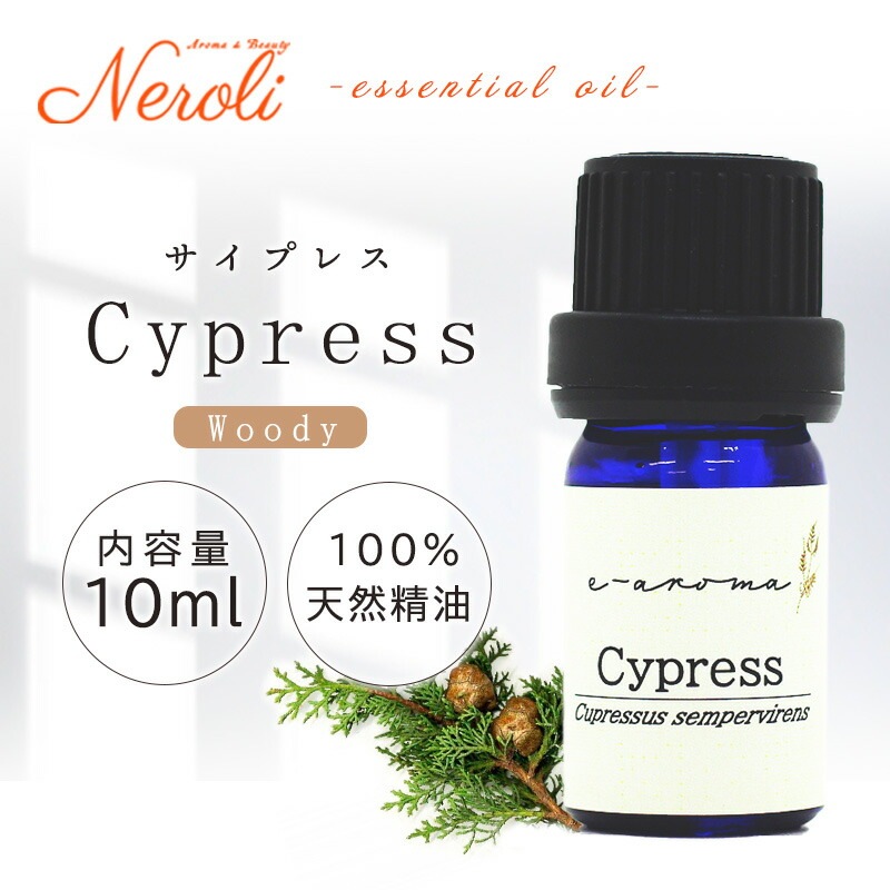 �����ץ쥹  �� �������� �� 