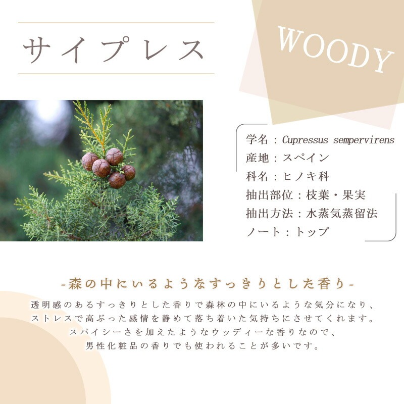 �����ץ쥹  �� �������� �� 