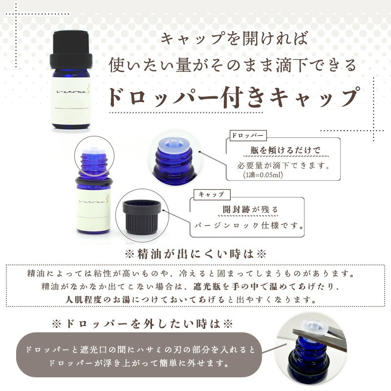 �饤�� �ǥ����ƥ����  �� ������ ��