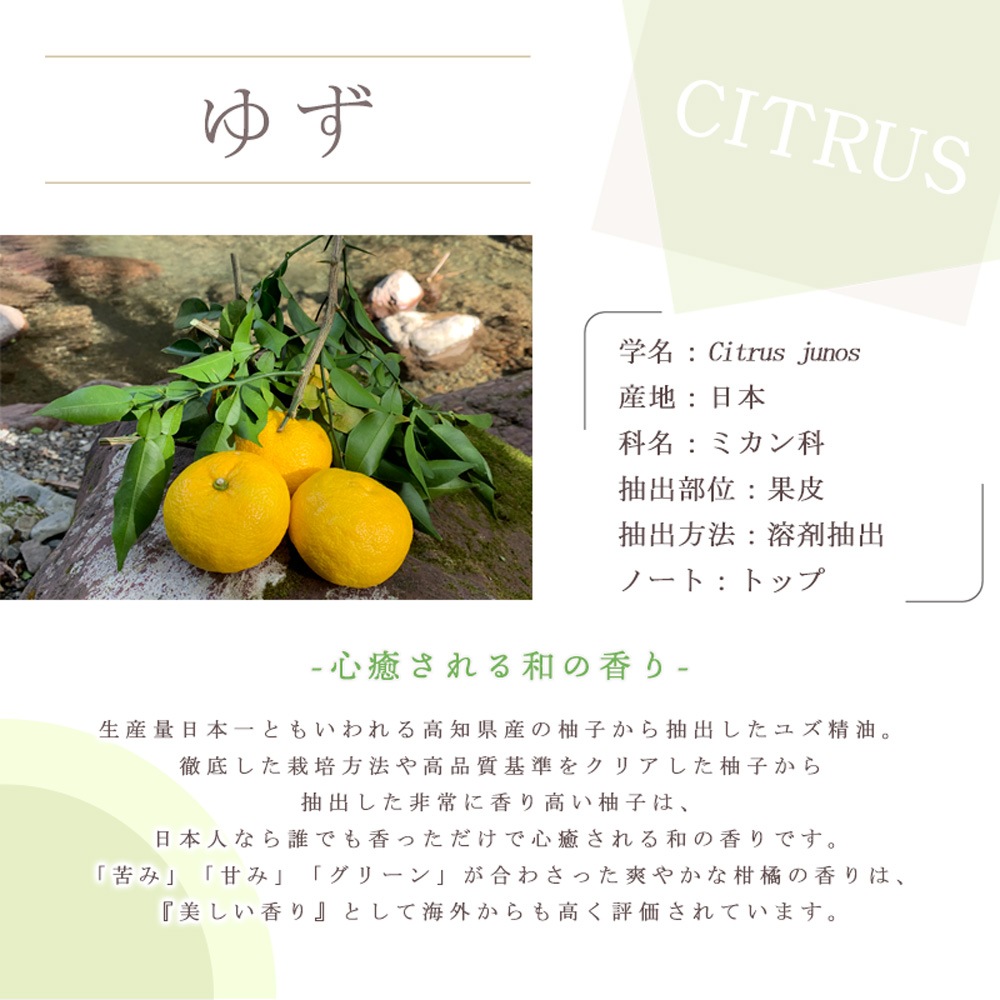 ͮ�� ABSOLUTE �� �楺 ���֥���塼�� �� �� �������� ��