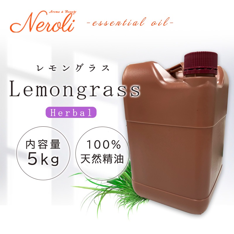 ���󥰥饹  �� �����ʣ���������� ��