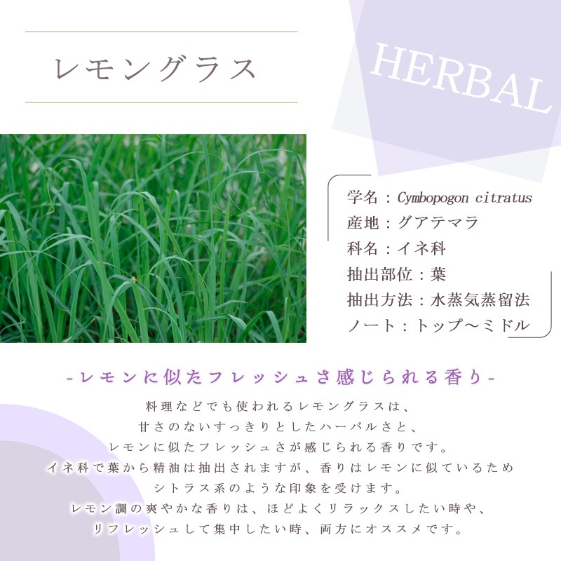 ���󥰥饹  �� �����ʣ���������� ��