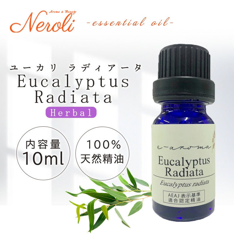 �桼���� �� �����֥륹 ��  �� �������� �� 